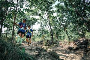 BIB: 
                            <button type="button" onclick="openModal(25988818)" class="btn btn-primary btn-sm float-right btn-popup" data-toggle="modal" data-target=".modal-high-quality">
                        <i class="fas fa-shopping-cart"></i> Add to Cart
                    </button>
                                            <button type="button" onclick="isThisMe(25988818, true)" class="btn btn-success btn-sm float-right btn-popup btn-isme hidden" data-toggle="tooltip" data-placement="bottom" title="นี่คือรูปของคุณใช่ไหม คลิกที่นี่เพื่อเอาเข้าอัลบั้ม">
                        <i class="fas fa-plus"></i> Add to album
                    </button>
                    <button type="button" onclick="isThisMe(25988818, false)" class="btn btn-warning btn-sm float-right btn-popup btn-isnotme hidden">
                        <i class="fas fa-ban"></i> Remove from album
                    </button>